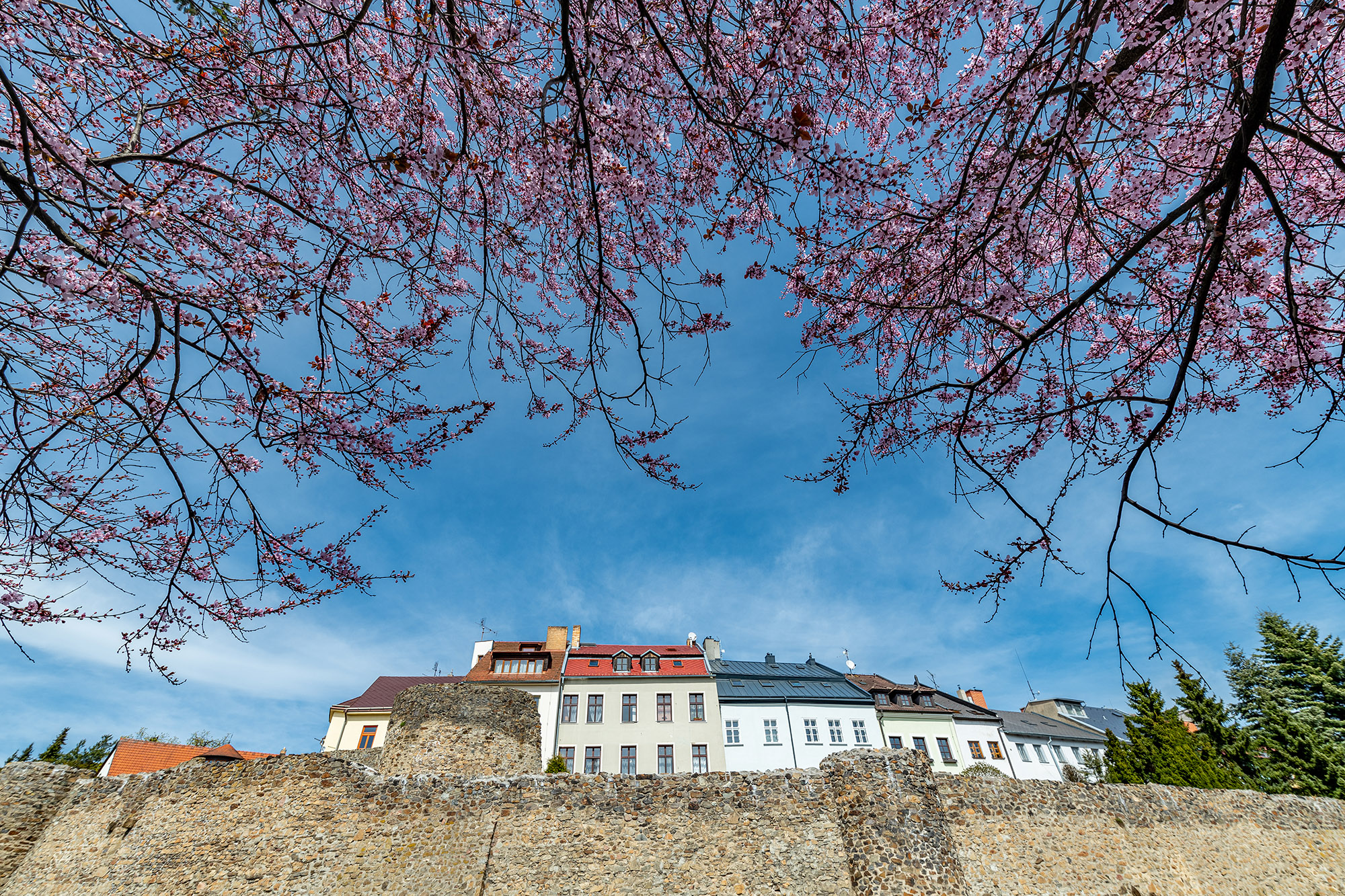 Z Jihlavy za krásami UNESCO DoJihlavy